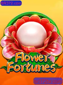 Explorando o Mundo de FlowerFortunes e BR372.com